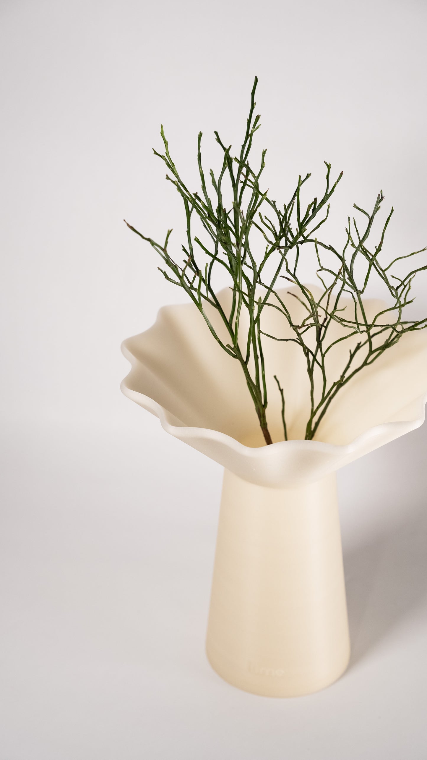 vase minimaliste coquille saint jacques